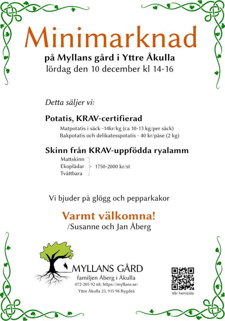 Den 10 december kl 14-16 har vi minimarknad på gården. Vi säljer potatis och lammskinn, och bjuder på glögg och pepparkakor.